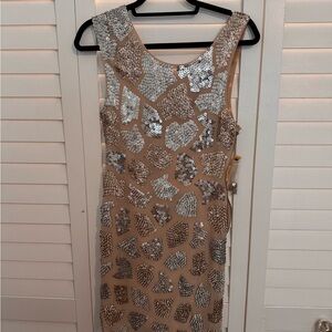 Elegant Sequin Embellished Dress - Silver and Tan